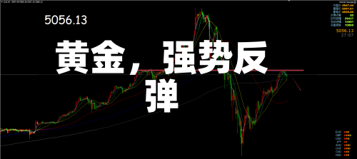 黄金，强势反弹-第2张图片