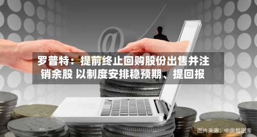 罗普特：提前终止回购股份出售并注销余股 以制度安排稳预期、提回报-第2张图片