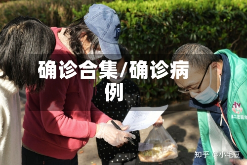 确诊合集/确诊病例-第2张图片