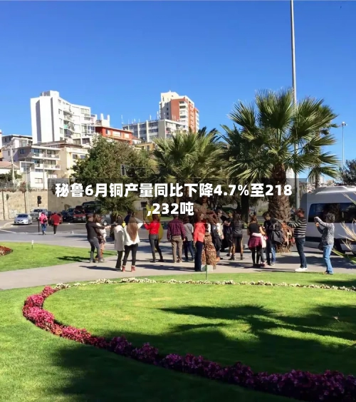 秘鲁6月铜产量同比下降4.7%至218,232吨