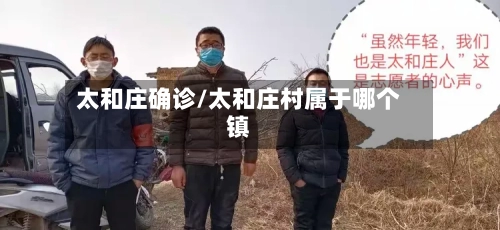 太和庄确诊/太和庄村属于哪个镇-第3张图片