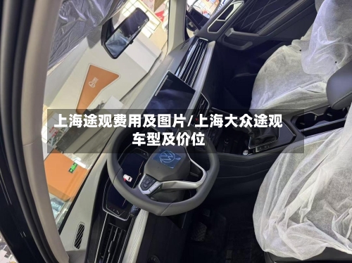 上海途观费用及图片/上海大众途观车型及价位-第3张图片