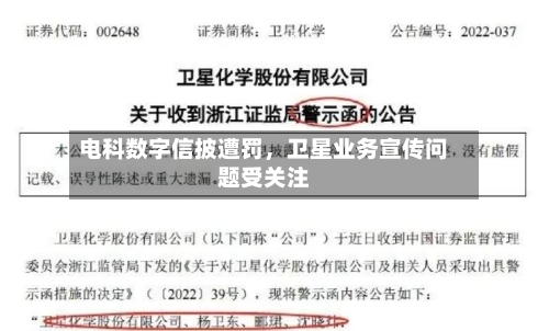 电科数字信披遭罚，卫星业务宣传问题受关注-第2张图片