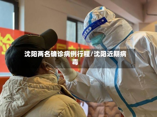 沈阳两名确诊病例行程/沈阳近期病毒-第2张图片