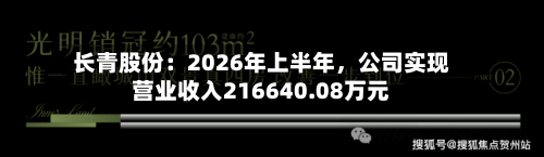 长青股份：2026年上半年，公司实现营业收入216640.08万元-第2张图片