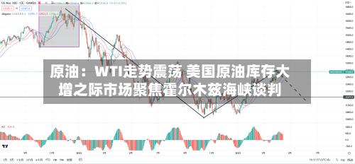 原油:WTI走势震荡 美国原油库存大增之际市场聚焦霍尔木兹海峡谈判-第2张图片
