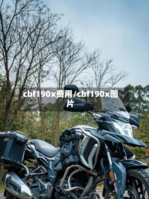 cbf190x费用/cbf190x图片-第2张图片