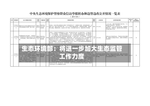 生态环境部:将进一步加大生态监管工作力度-第2张图片
