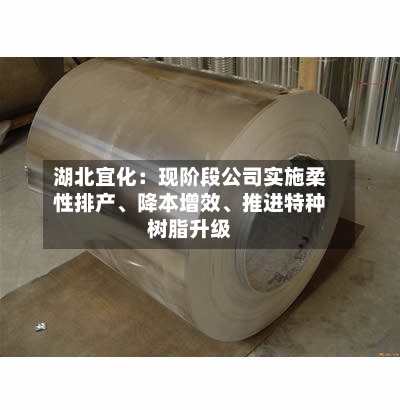湖北宜化：现阶段公司实施柔性排产、降本增效、推进特种树脂升级-第1张图片