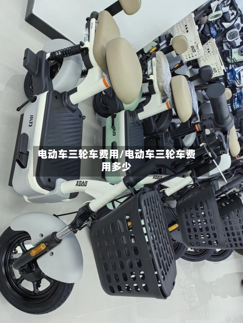 电动车三轮车费用/电动车三轮车费用多少-第2张图片