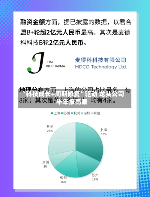 “科技成长+周期修复”驱动 龙头公司半年报亮眼-第2张图片