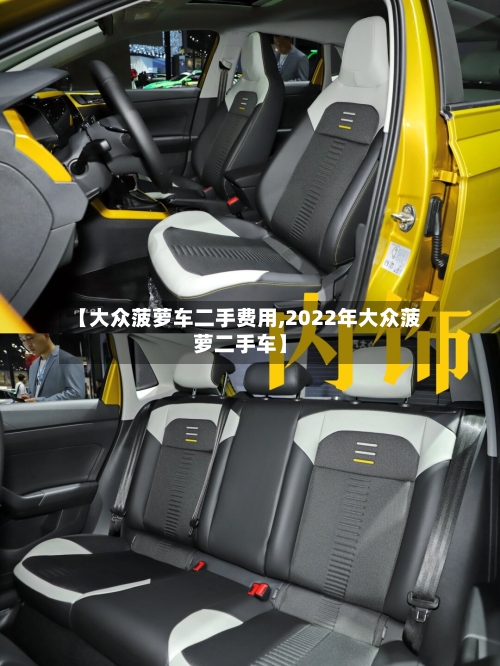 【大众菠萝车二手费用,2022年大众菠萝二手车】