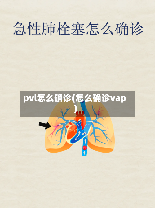 pvl怎么确诊(怎么确诊vap)
