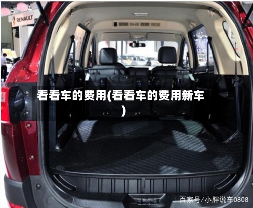 看看车的费用(看看车的费用新车)