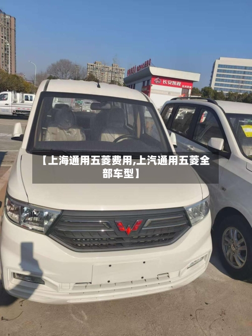 【上海通用五菱费用,上汽通用五菱全部车型】