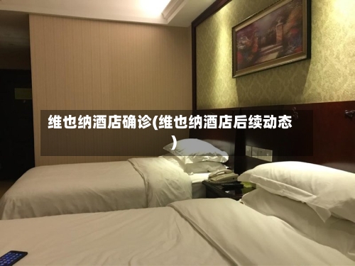 维也纳酒店确诊(维也纳酒店后续动态)-第3张图片
