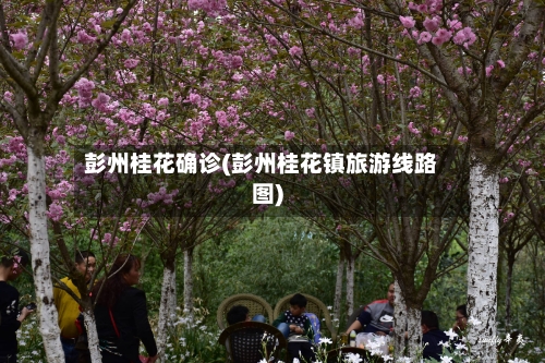 彭州桂花确诊(彭州桂花镇旅游线路图)