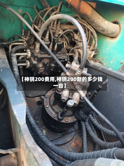 【神钢200费用,神钢200新的多少钱一台】