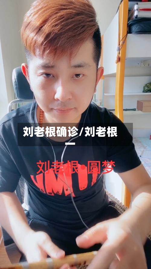 刘老根确诊/刘老根一-第3张图片