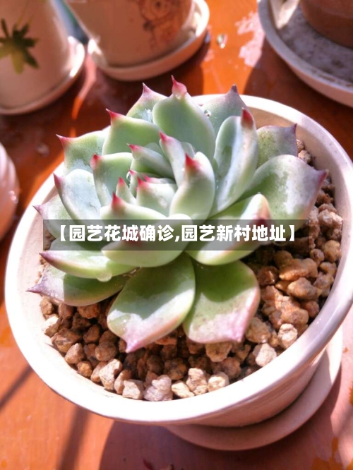 【园艺花城确诊,园艺新村地址】