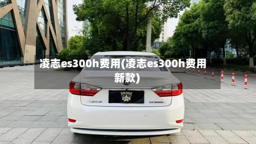 凌志es300h费用(凌志es300h费用 新款)