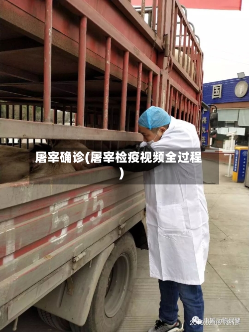 屠宰确诊(屠宰检疫视频全过程)