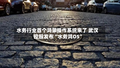 水务行业首个鸿蒙操作系统来了 武汉控股发布“水务鸿OS”-第2张图片
