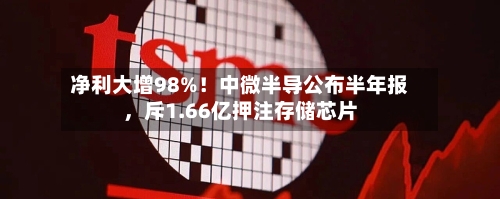 净利大增98%！中微半导公布半年报，斥1.66亿押注存储芯片-第2张图片