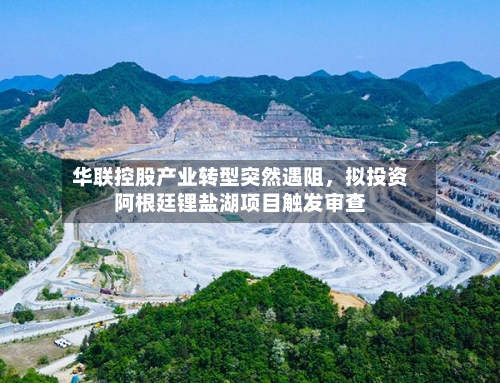 华联控股产业转型突然遇阻	，拟投资阿根廷锂盐湖项目触发审查-第2张图片