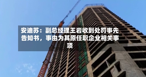 安迪苏：副总经理王岩收到处罚事先告知书	，事由为其原任职企业相关事项-第2张图片