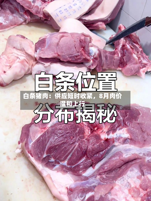 白条猪肉：供应短时收紧	，8月肉价温和上行-第1张图片