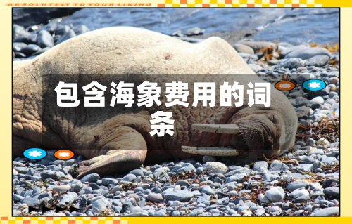 包含海象费用的词条-第1张图片