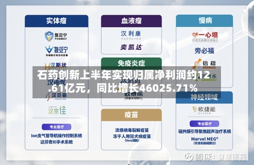 石药创新上半年实现归属净利润约12.61亿元	，同比增长46025.71%-第2张图片