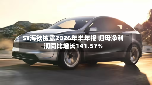 ST海钦披露2026年半年报 归母净利润同比增长141.57%-第1张图片