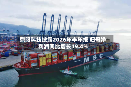 鼎阳科技披露2026年半年报 归母净利润同比增长19.4%-第3张图片