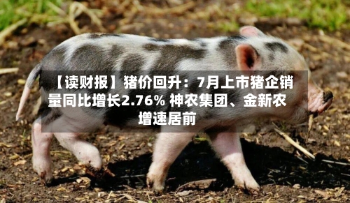 【读财报】猪价回升：7月上市猪企销量同比增长2.76% 神农集团	、金新农增速居前-第2张图片