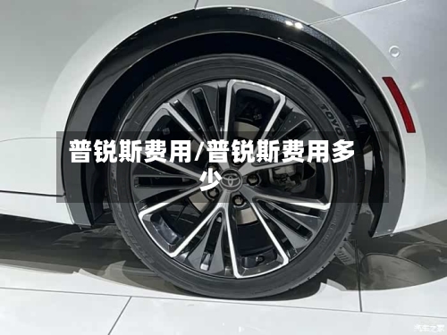 普锐斯费用/普锐斯费用多少