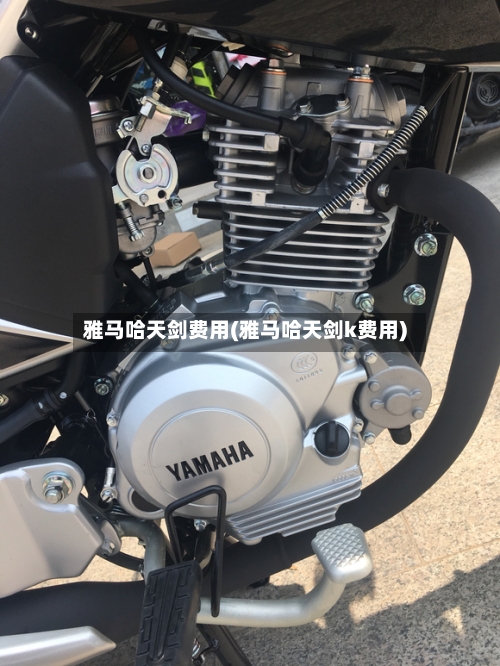 雅马哈天剑费用(雅马哈天剑k费用)-第2张图片