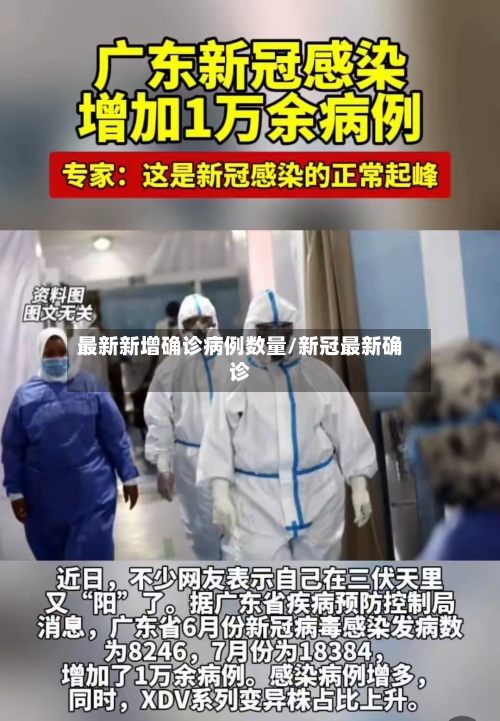 最新新增确诊病例数量/新冠最新确诊