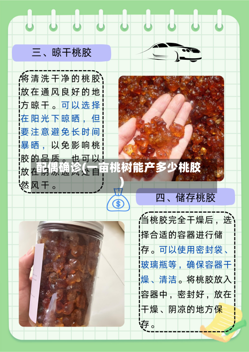 配偶确诊(一亩桃树能产多少桃胶)-第1张图片