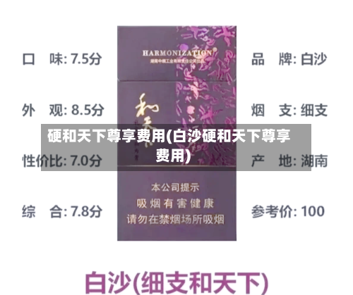 硬和天下尊享费用(白沙硬和天下尊享费用)-第2张图片