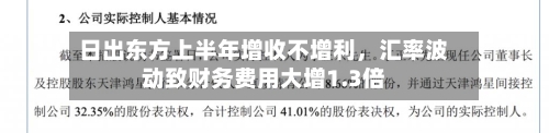 日出东方上半年增收不增利，汇率波动致财务费用大增1.3倍-第3张图片