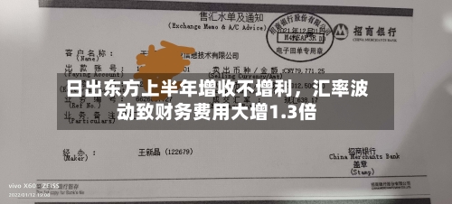 日出东方上半年增收不增利	，汇率波动致财务费用大增1.3倍-第2张图片