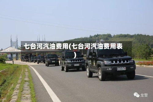 七台河汽油费用(七台河汽油费用表)-第2张图片