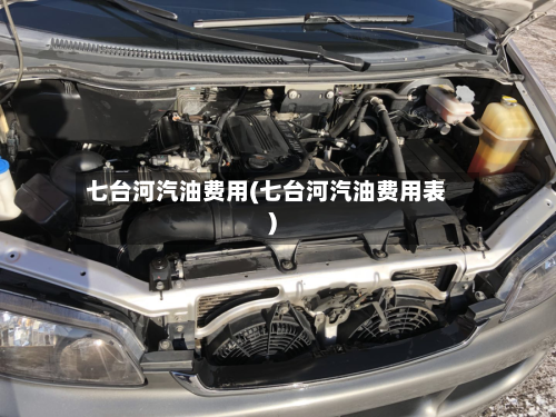 七台河汽油费用(七台河汽油费用表)