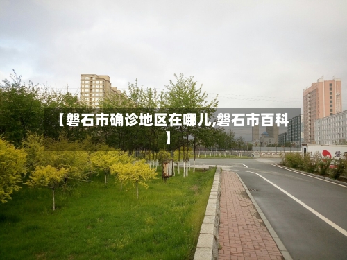 【磐石市确诊地区在哪儿,磐石市百科】-第3张图片