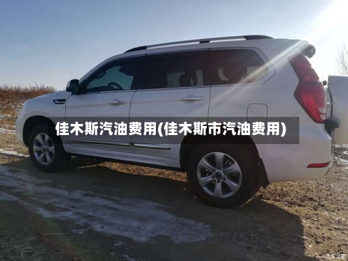 佳木斯汽油费用(佳木斯市汽油费用)-第2张图片