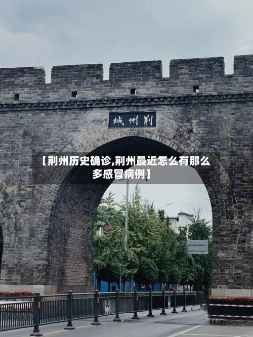 【荆州历史确诊,荆州最近怎么有那么多感冒病例】-第3张图片