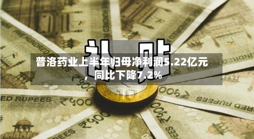 普洛药业上半年归母净利润5.22亿元，同比下降7.2%-第3张图片