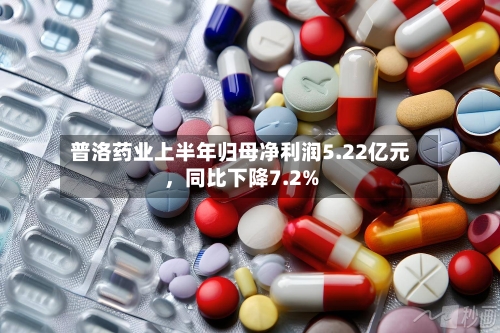 普洛药业上半年归母净利润5.22亿元	，同比下降7.2%-第2张图片